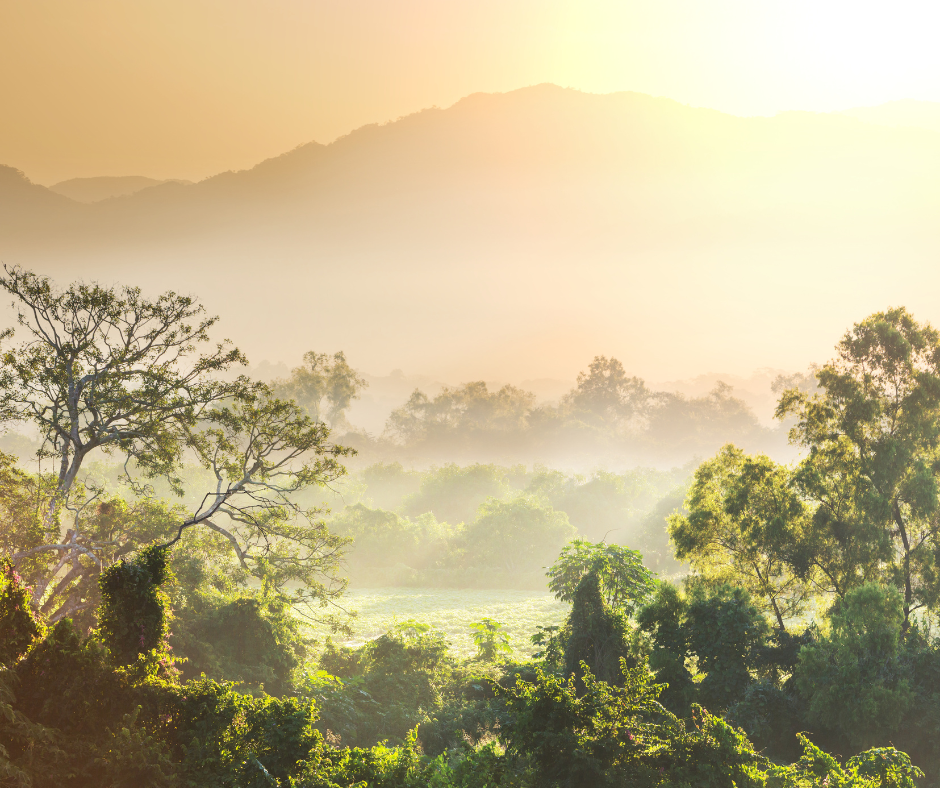 exploration-jungle-les-meilleures-destinations