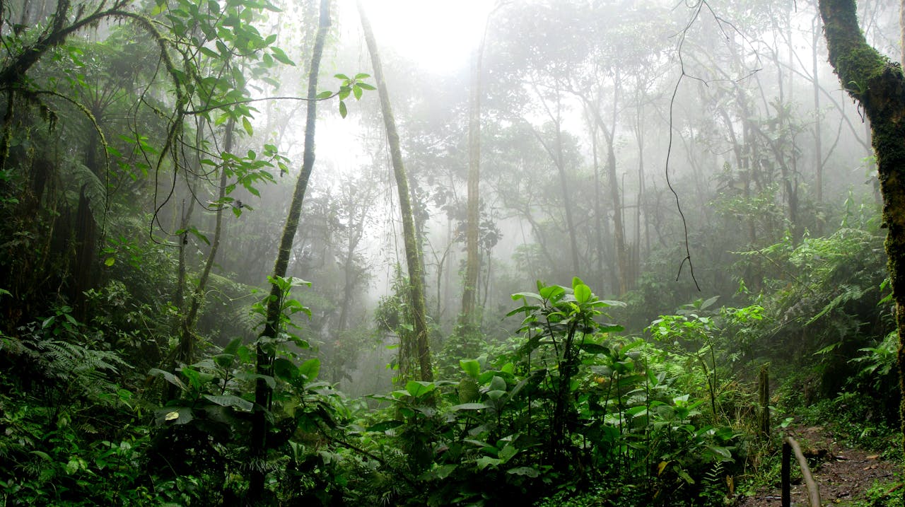 voyage-en-amazonie
