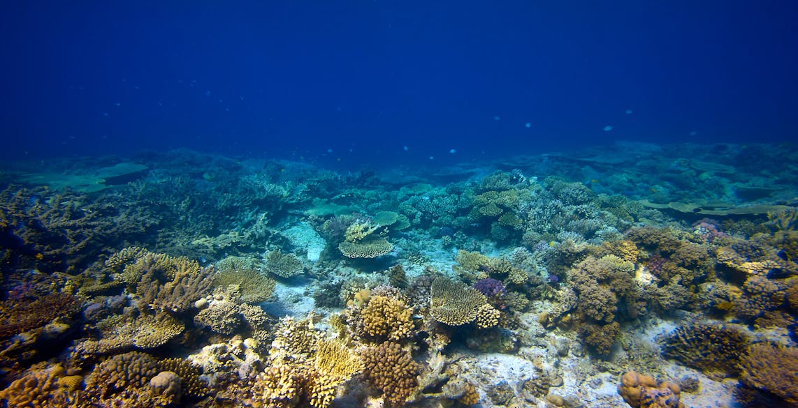 meilleurs-spots-de-plongée-notre-sélection